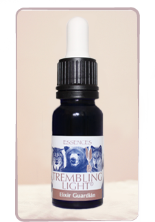 Elixir guardián