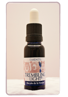 Báculo de la verdad