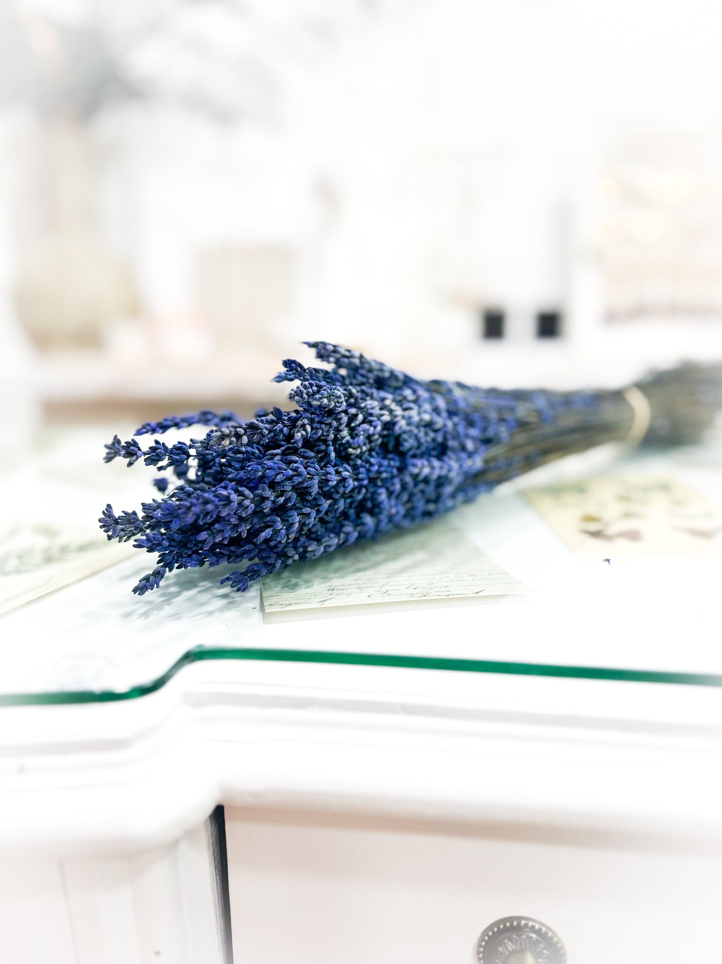 Ramo lavanda preservada