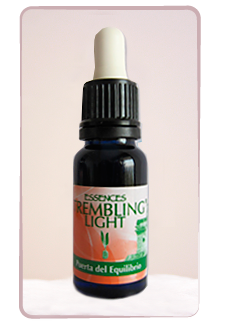 Puerta del equilibrio