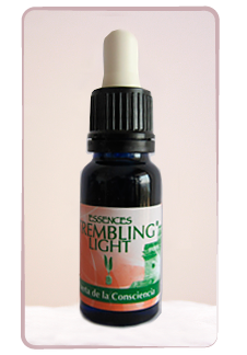 Puerta de la consciencia