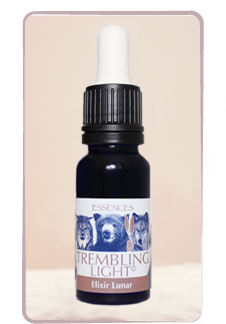 Elixir lunar