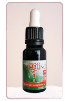 Llave de la inocencia