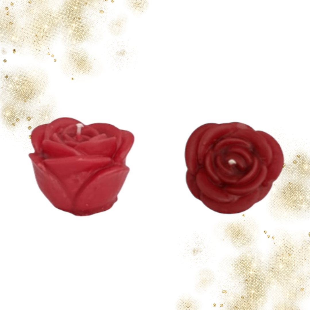 Vela Sant Jordi