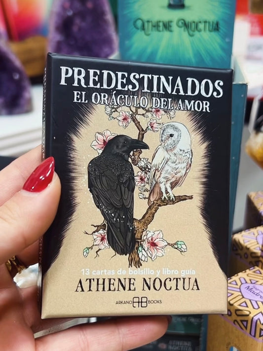 Oráculo Predestinados