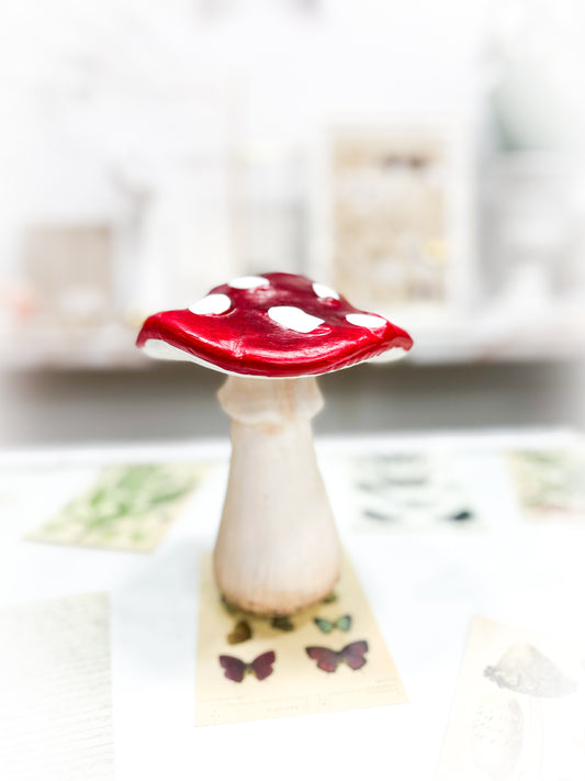 Seta Mágica (Decoración)