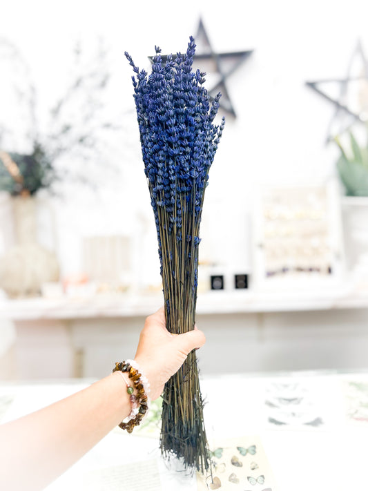 Ramo lavanda preservada