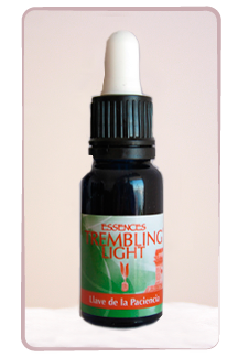 Llave de la paciencia