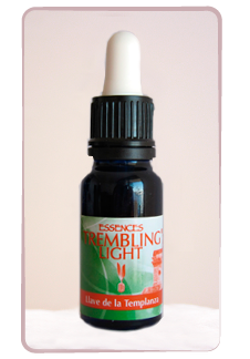 Llave de la templanza