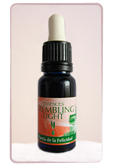 Puerta de la felicidad