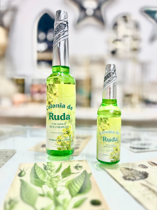 Colonia de Ruda