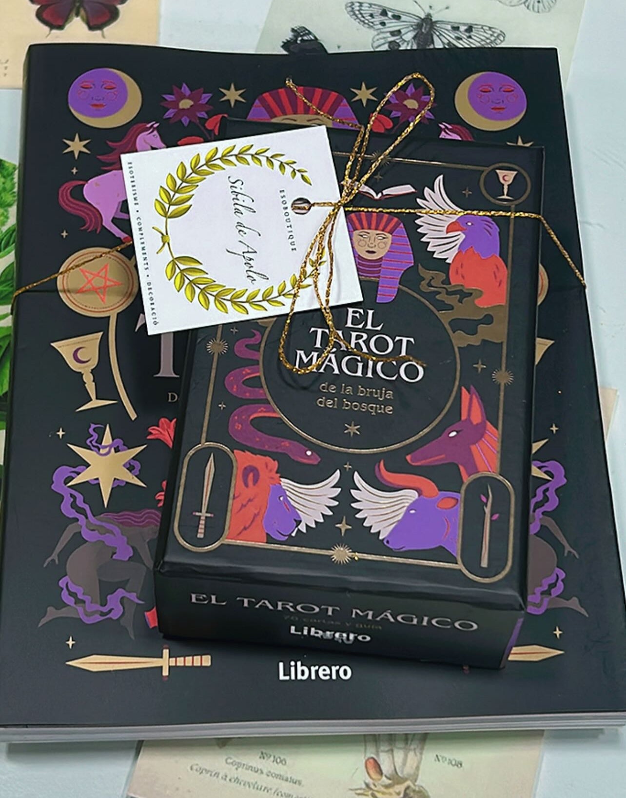Conjunto El tarot mágico de la bruja del bosque