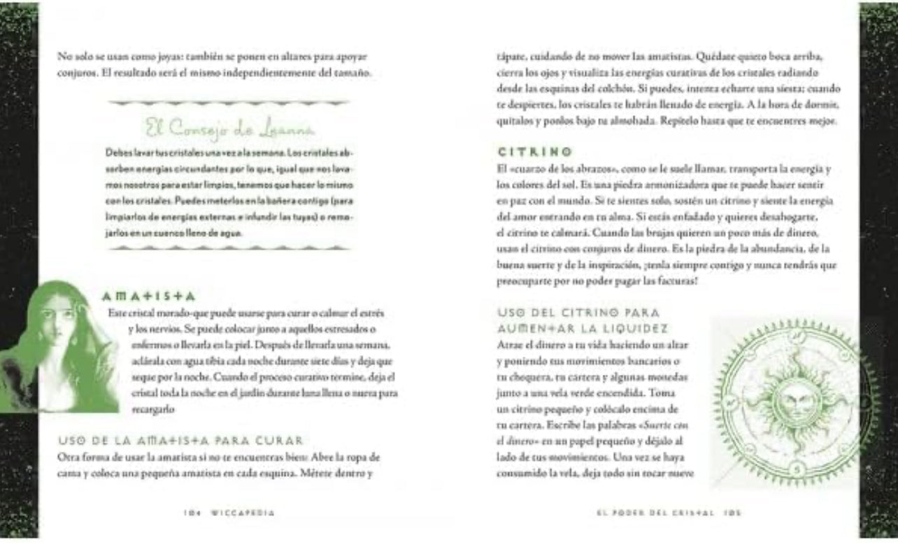 Libro Wiccapedia